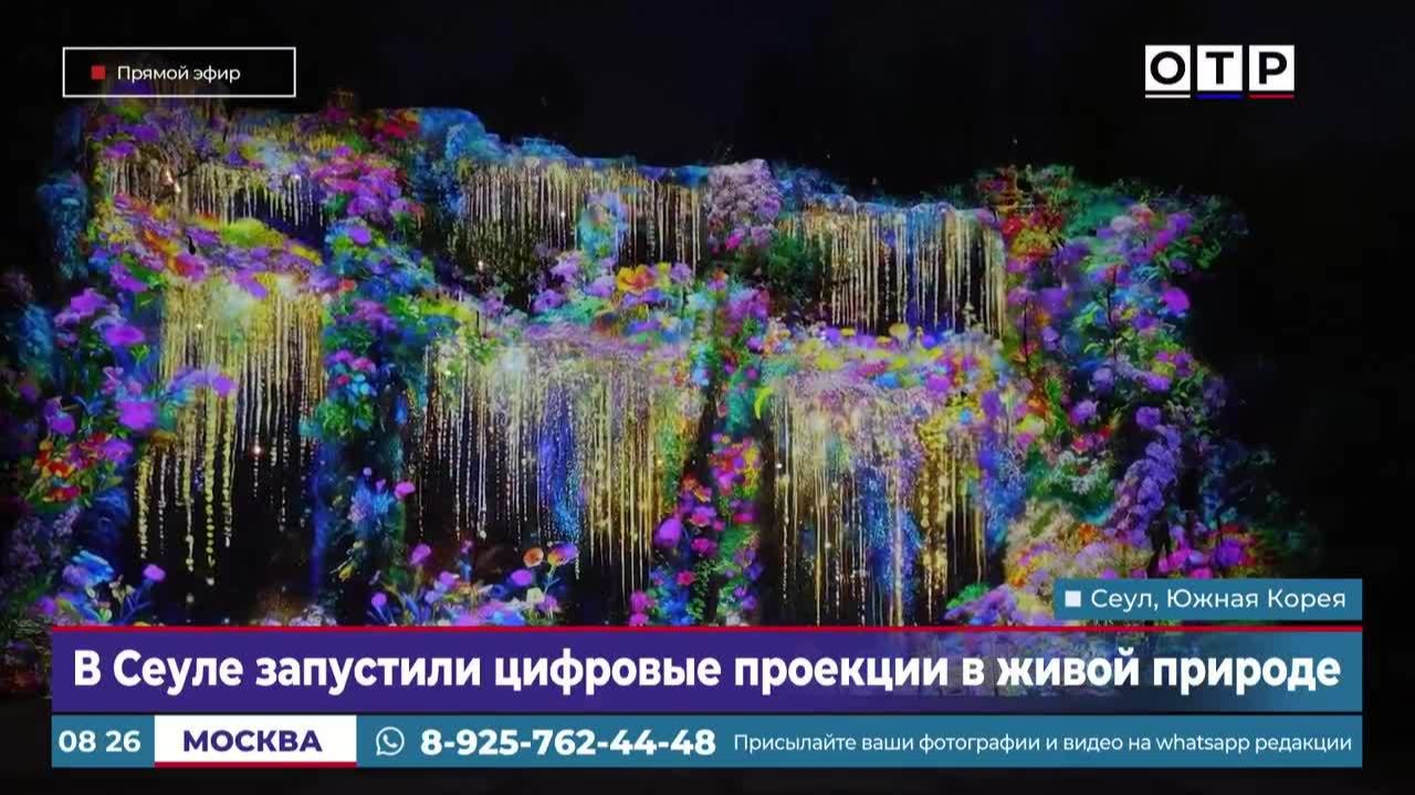 В Сеуле запустили цифровые проекции в живой природе смотреть онлайн