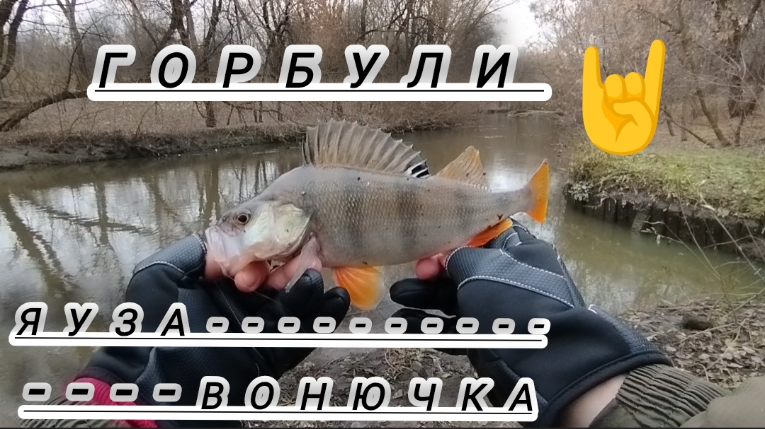 РЫБАЛКА НА ЯУЗЕ РЫБАЧУ СПИННИНГОМ В РЕЧКЕ смотреть онлайн