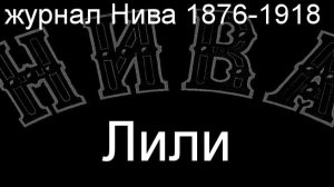 Лили.Гордон, описание журнал Нива 1876-1918