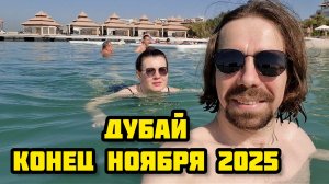 172. Отель Aloft Palm Jumeirah 4* / Рум-Тур номера / Впервые в ОАЭ / Дубай Пальм Джумейра
