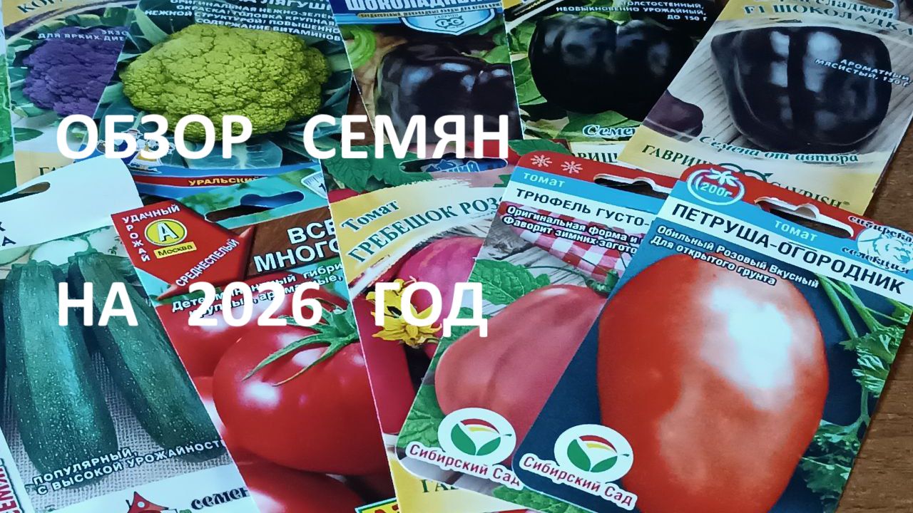 Обзор новых семян овощей на 2026 год смотреть онлайн