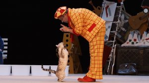 Дмитрий Куклачев. Спектакль "Котобум!"