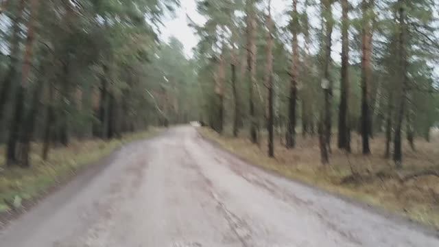 Погуляем/Повяжем и поговорим ))) смотреть онлайн