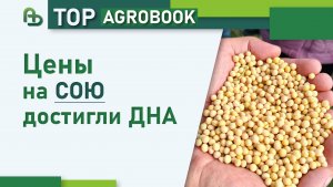 Цены на сою достигли дна | TOP Agrobook: обзор аграрных новостей