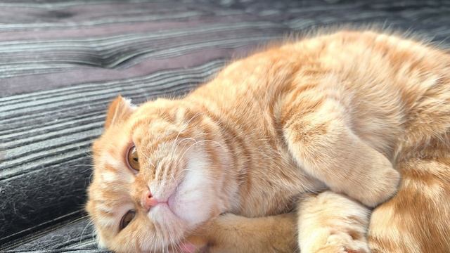 конфетки мамины🥰 смотреть онлайн