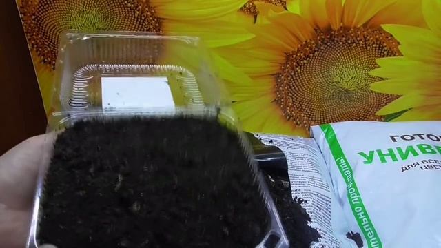 Не бойтесь покупать "ПОДОЗРИТЕЛЬНО ДЕШЕВЫЙ" грунт в больших мешках! Он может оказаться ХОРОШИМ! смотреть онлайн