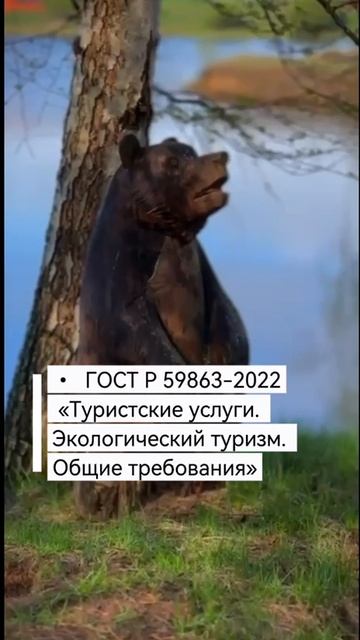Глемпинг в Завидово ПЕРВЫМ в России прошел сертификацию на соответствие ГОСТам смотреть онлайн
