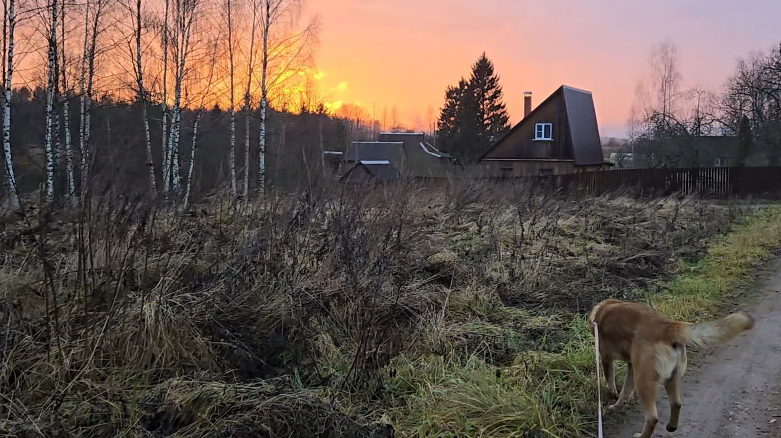 Ранняя прогулка, новое знакомство и прощальная улыбка ноября смотреть онлайн