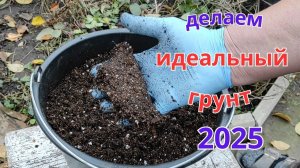 Делаем идеальный грунт для лучшей рассады. Что добавляем.