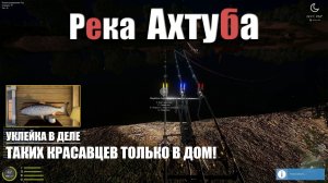 Фарм на уклейку • Таких трофеев только на доску • Река Ахтуба • Русская Рыбалка 4