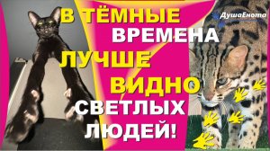 То что родилось - должно жить! так считает она Валерия Заволокина. фильм о борьбе жизни со смертью.