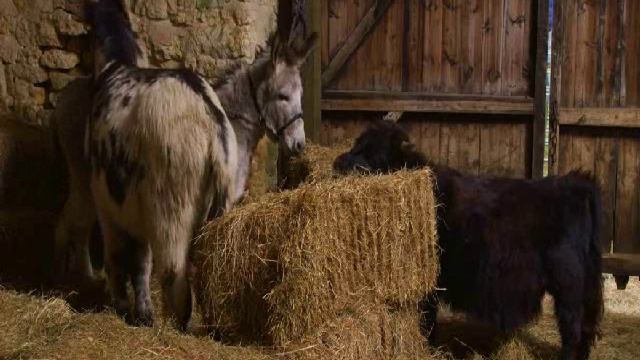 Рождество на ферме Омела / Christmas on Mistletoe Farm (2022) смотреть онлайн