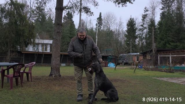 Апортировка. Исправление ошибок смотреть онлайн