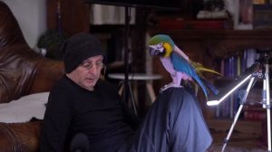 Бхарати Махарадж - Шримад Бхагаватам 3.10