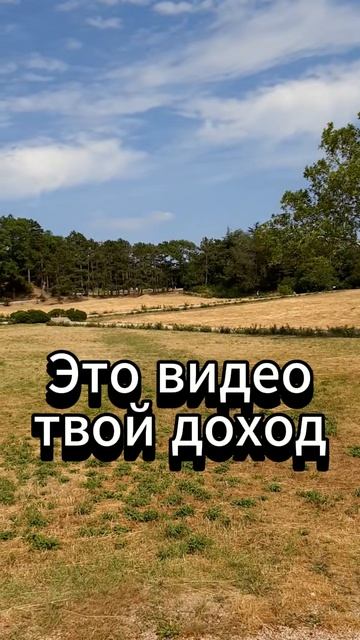 Массандровский Дворец-начало. #мост, #крымскиймост, #керчь, #тамань,  #ялта, #крым, #алушта, #горы,