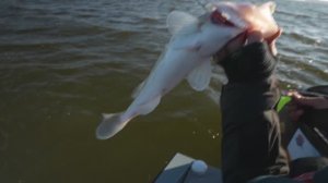 "НА ПОЛНУЮ КАТУШКУ"