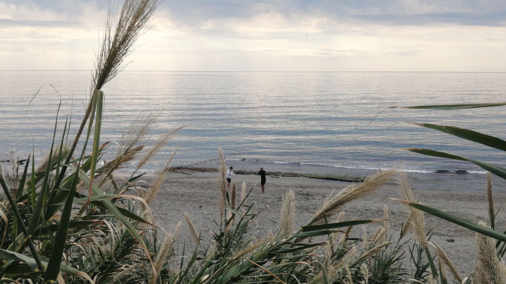 4 декабря ЛАСКОВОЕ МОРЕ ДЕКАБРЯ. ТУРЦИЯ 2025. #türkiye2025 #alanya #mahmutlar