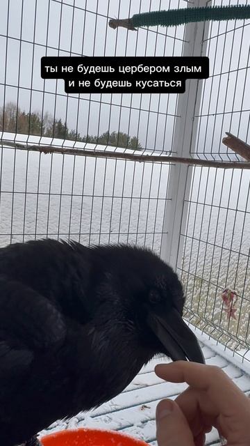 Подробней тут: смотреть онлайн