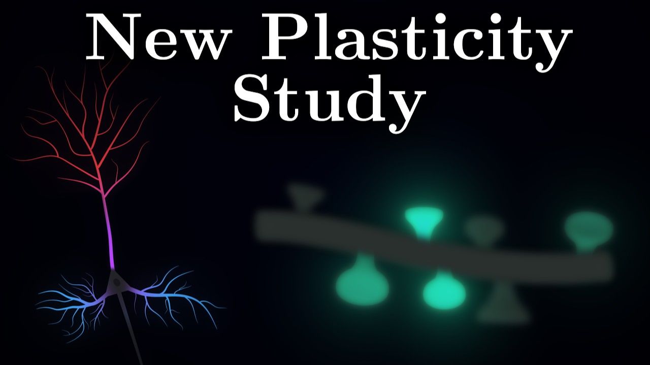 Почему Разные части Нейронов Обучаются по-разному смотреть онлайн