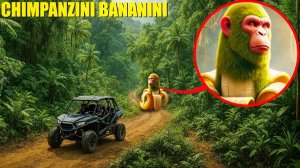 ЕСЛИ ВЫ УВИДИТЕ ШИМПАНЗИНИ БАНАНИНИ В ДЖУНГЛЯХ — БЕГИТЕ! (ИТАЛЬЯНСКИЙ БРЕЙНРОТ)