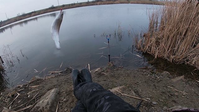 Рыбалка Каменск-Шахтинский