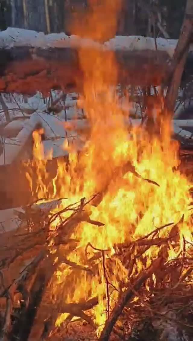 Лютый кастрик в лесу. Жарево конкретное. Как выжить зимой одному в лесу ? смотреть онлайн