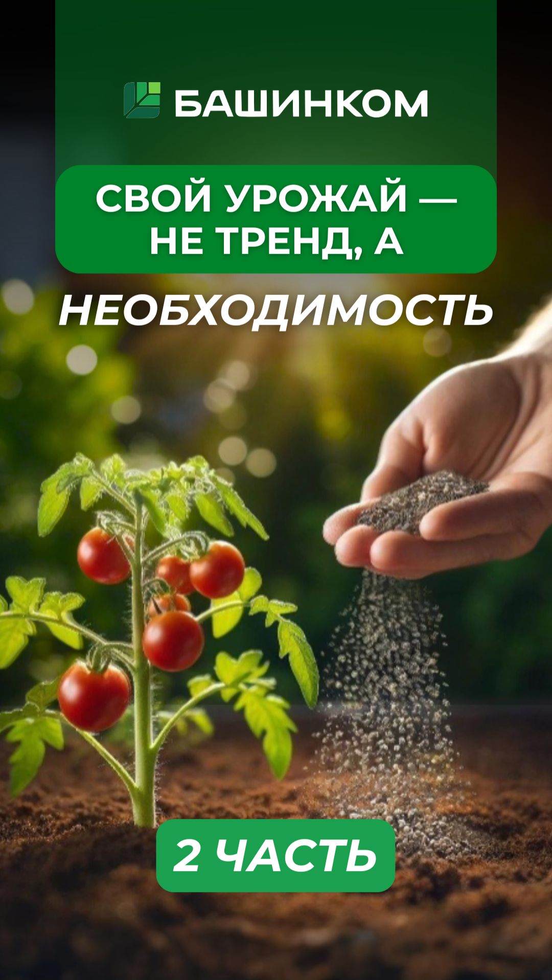 Не тренд а необходимость. Часть 2 смотреть онлайн