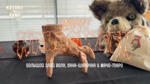 Забавная выдра, возможно, слишком серьёзно относится к своему костюму на Хэллоуин!