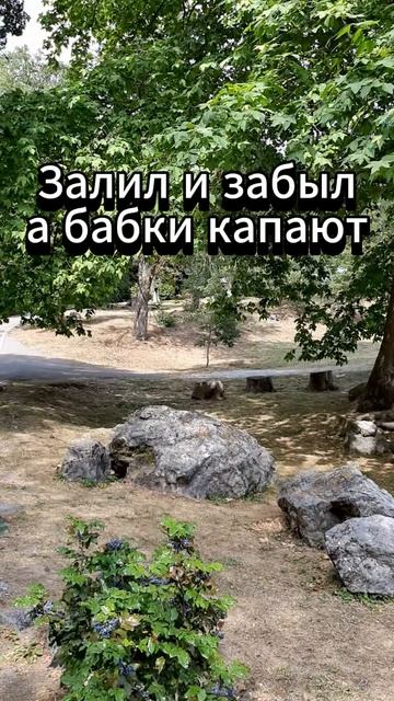 Массандровский дворец-имение. #мост, #крымскиймост, #керчь, #ялта, #крым, #кубань, #алушта, #горы,