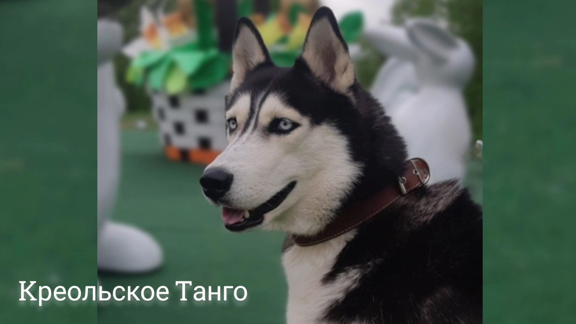 Предмет — аранжировка | 3 курс | Музыкальное звукооператорское мастерство