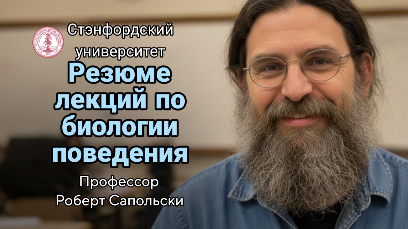 22- Эмерджентность смотреть онлайн