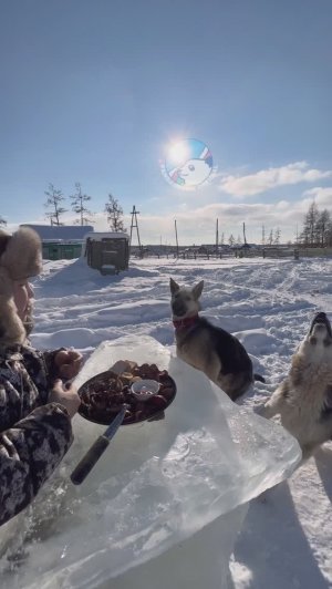 Домашние шашлыки с картошкой pandasakha #shorts