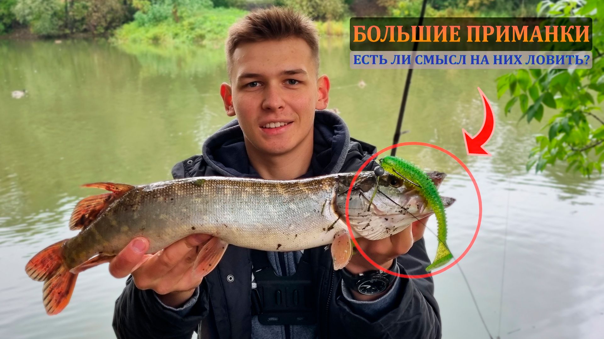 Рыбалка на БОЛЬШИЕ ПРИМАНКИ!/ Есть ли смысл на них ловить?