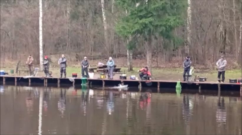 Запуск и первые поимки форели. Спорт-зона. Клёвое место Лосиный остров. смотреть онлайн