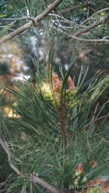 Архив 2019 г. (11)