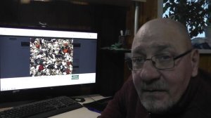 Новый корм для снегирей, щуров, клестов.