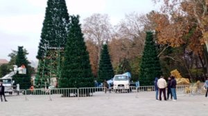 Анапа сегодня , наряжает ёлочки 4 декабря 2025