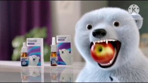 медведь сиалор с яблоками наоборот