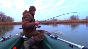 СТАРОЕ БОЛОТО... ЩУКА МАТЬ!!! В ЩУЧЬЕМ ЛОГОВЕ РЫБАЛКА НА СПИННИНГ