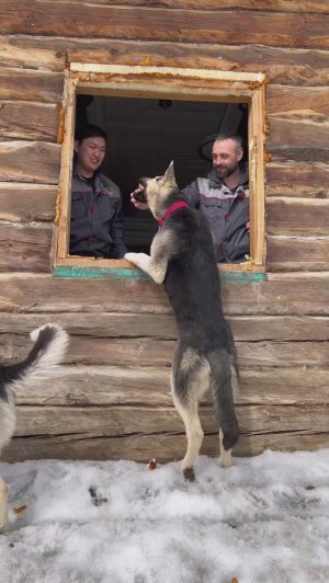 Заменили окна? pandasakha #строительство #ремонт