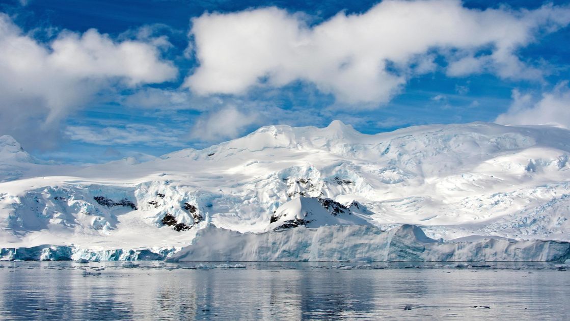 Международный Договор об Антарктике смотреть онлайн