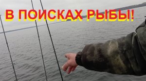 В поисках рыбы!!!?