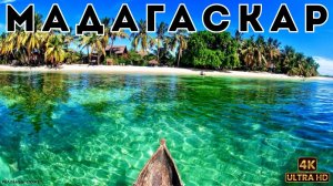 МАДАГАСКАР Остров жизни Реальный сюжет Документальный фильм о животных