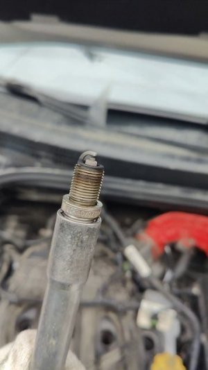 ЭНДОСКОПИЯ ДВИГАТЕЛЯ После замены маслосъёмных колпачков....