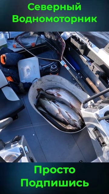 Итоги клёвой Рыбалки смотреть онлайн