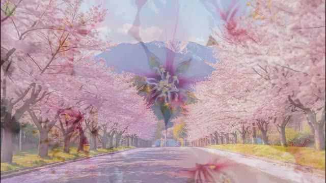 Музыка для здорового сердца и спокойного ума 🌿 Антистресс, расслабление и гармония #5 смотреть онлайн