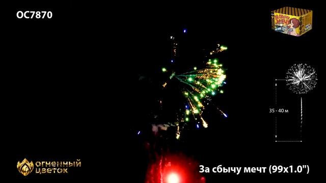 За сбычу мечт 1' х 99