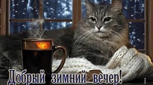 Вечер - пора радости. Хорошего вечера. Красивая музыкальная открытка.