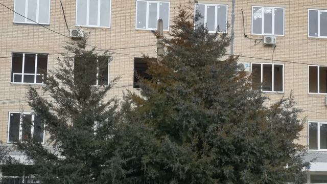 Ремонт поликлиники - снова меняют окна