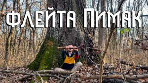 Флейта Североамериканских Индейцев / Под Могучим Древом